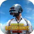 pubg kr update 2020手游汉化官网版下载 v1.19.3下载 v1.19.3