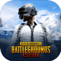 pubg刺激战场(国际服)地铁逃生下载官方 v2.0.0 v2.0.0