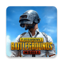 pubg国际服地铁求生下载 