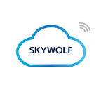 SKYWOLF下载  v1.0.0.0