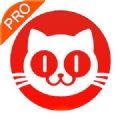 猫眼电影专业版实时票房app官方版 v7.2.1