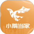 小鹅当家软件官方版下载 v1.0.0