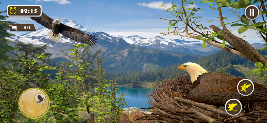 宠物美国鹰生活模拟3D图2