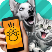 Pet Translator翻译器下载  v1.1