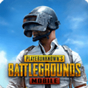 pubgmobile国际服