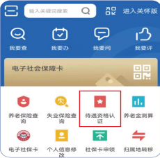 2024河北人社app养老个人认证官方版图片2