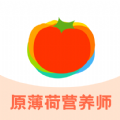 薄荷宝箱app下载 v5.0.0