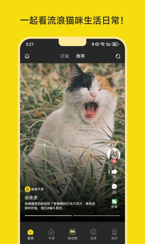 喵喵不易app官方版图片1