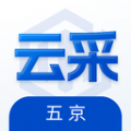 五京云采app下载 v1.1