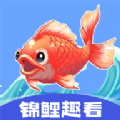 锦鲤趣看app下载 1.0.4