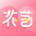 花苞交友app官方版