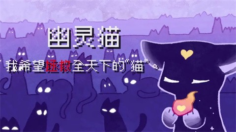 对人类过敏的猫图8