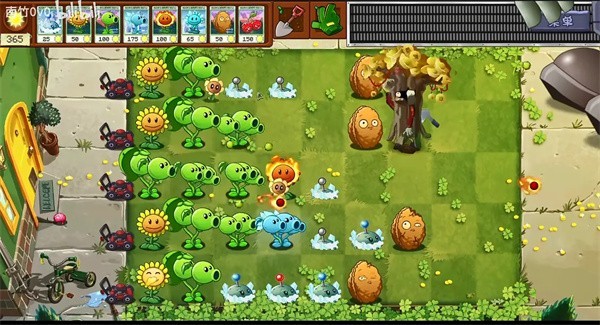 pvz转基因版截图