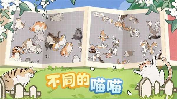 挤在一起的猫猫游戏图2