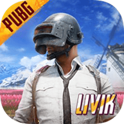 pubg国际服地铁逃生正版 