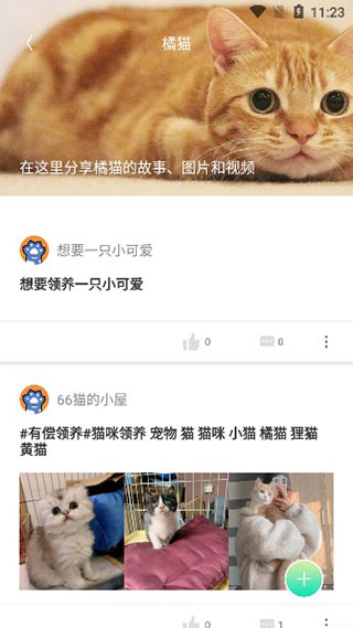 握爪app