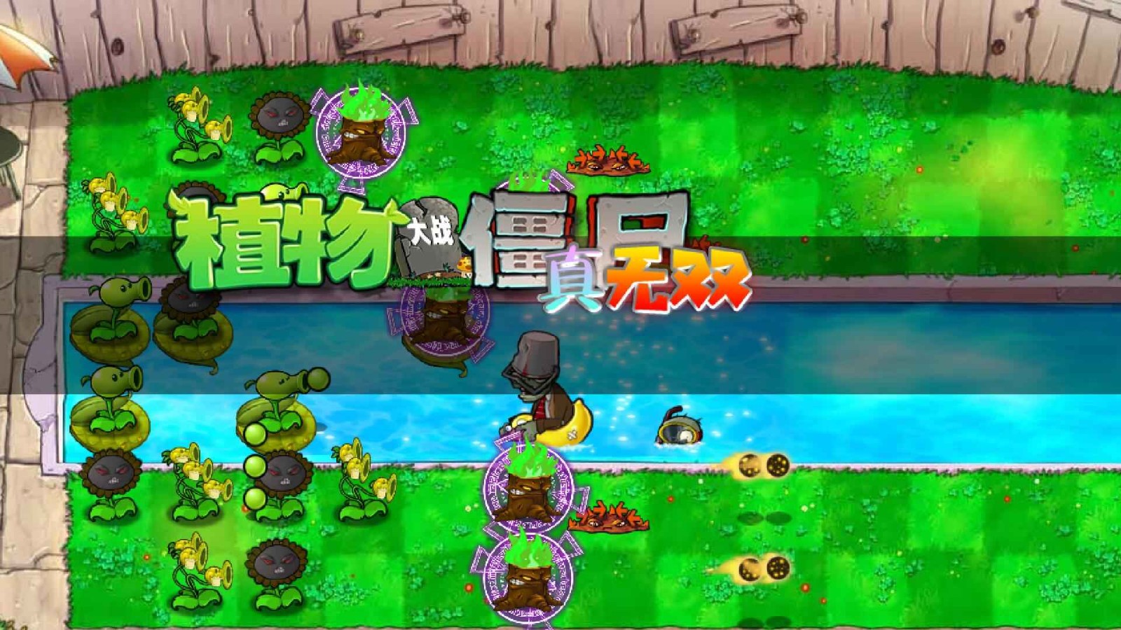 植物大战僵尸真无双版图3