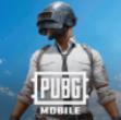 绝地求生PUBG国际服