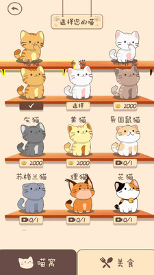 旅行猫猫图3