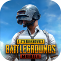 pubg国际服手游 下载官网正版下载 2.4.0