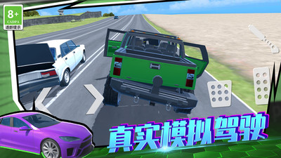 狂野赛车3D图3