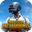 pubg mobile地铁逃生 下载官方正版下载 2.4.0