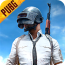 pubg国际服地铁逃生 正版下载下载 0.9.5.29