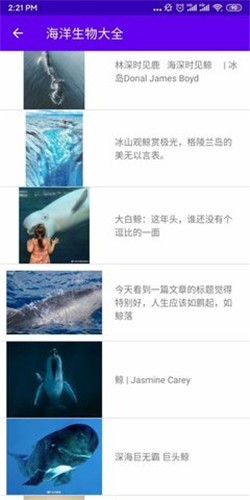  海洋生物大全图2