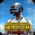 pubg国际服地铁逃生手游下载正版手机版下载 v2.8.0