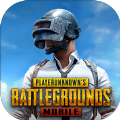 PUBG M(地铁逃生)国际服下载手机版