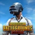 pubg国际服地铁逃生最新版本2023手游下载安装 v2.8.0