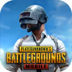 pubg国际服手游 苹果最新版下载 2.4.6