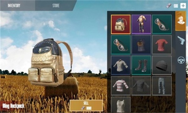 和平精英开箱模拟器PUBG Crate Simulator图2