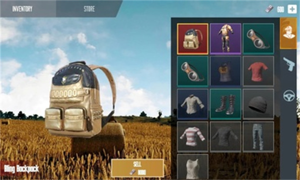 和平精英开箱模拟器PUBG Crate Simulator