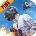 pubg mobile(国际服)手游下载安装 v2.8.0