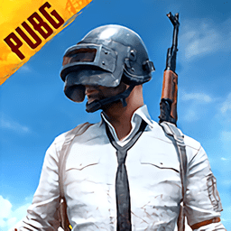 pubg黎明高端直装版下载  v0.9.54.529