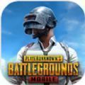 pubg国际服地铁逃生 官方下载入口下载 2.0.0