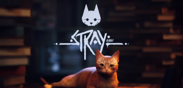 stray猫咪图0