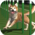 Top Dogs官方安卓版 v0.0.4