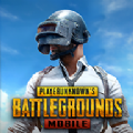 pubg国际服 手游官方版下载下载 0.9.5.29