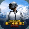 pubg神盾局直装下载 v3.1.0