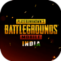 PUBG MOBILE印度服下载 v3.1.0