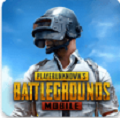 pubg国际服 地铁逃生最新版下载下载 2.4.0