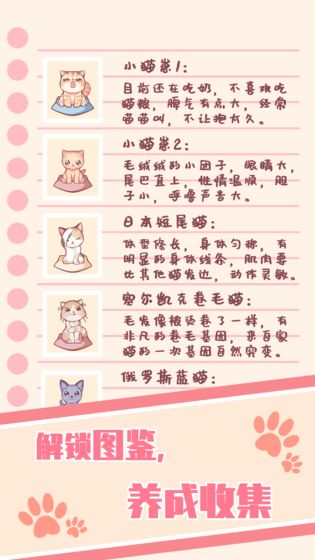  猫咪养成云撸猫图3