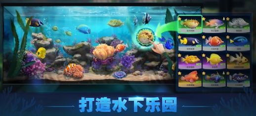 Top Fish游戏最新版图1