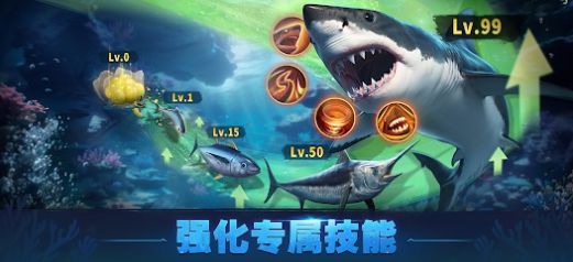 Top Fish游戏最新版图2