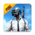 PUBG小挽版下载 v3.1.0