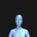 bodyvisualizer模拟器网页版