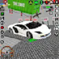 齿轮停车试驾游戏安卓版下载 v0.0.1