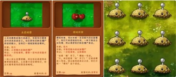 pvz融合植物版